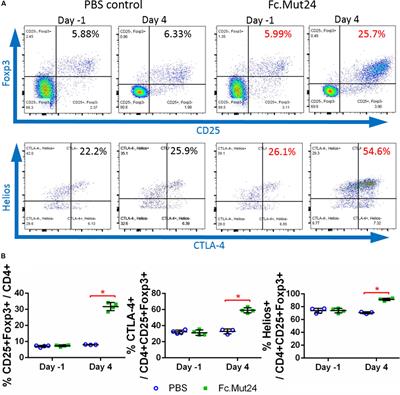 A Treg-Selective IL-2 Mutein Prevents the Formation of Factor VIII Inhibitors in Hemophilia Mice Treated With Factor VIII Gene Therapy